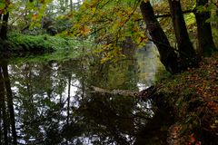 Herbst am Fluss