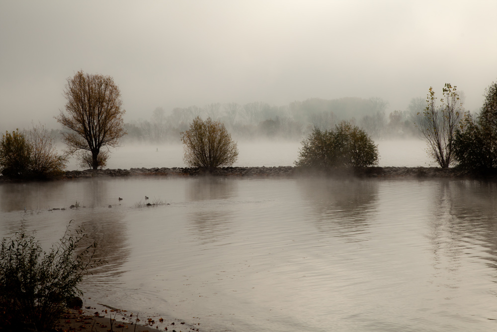 Herbst am Fluss