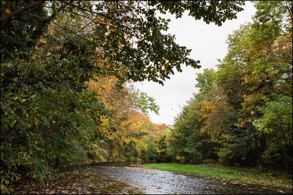 Herbst am Fluss ...