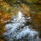 Herbst am Fluß