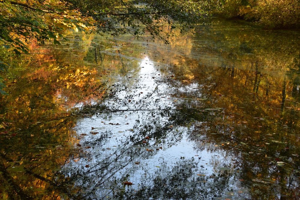 Herbst am Fluß