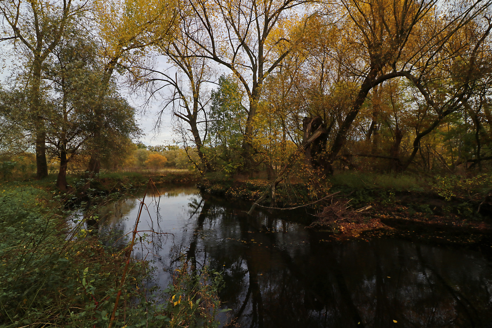 Herbst am Fluss