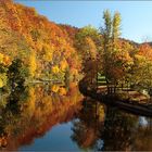 Herbst am Fluss