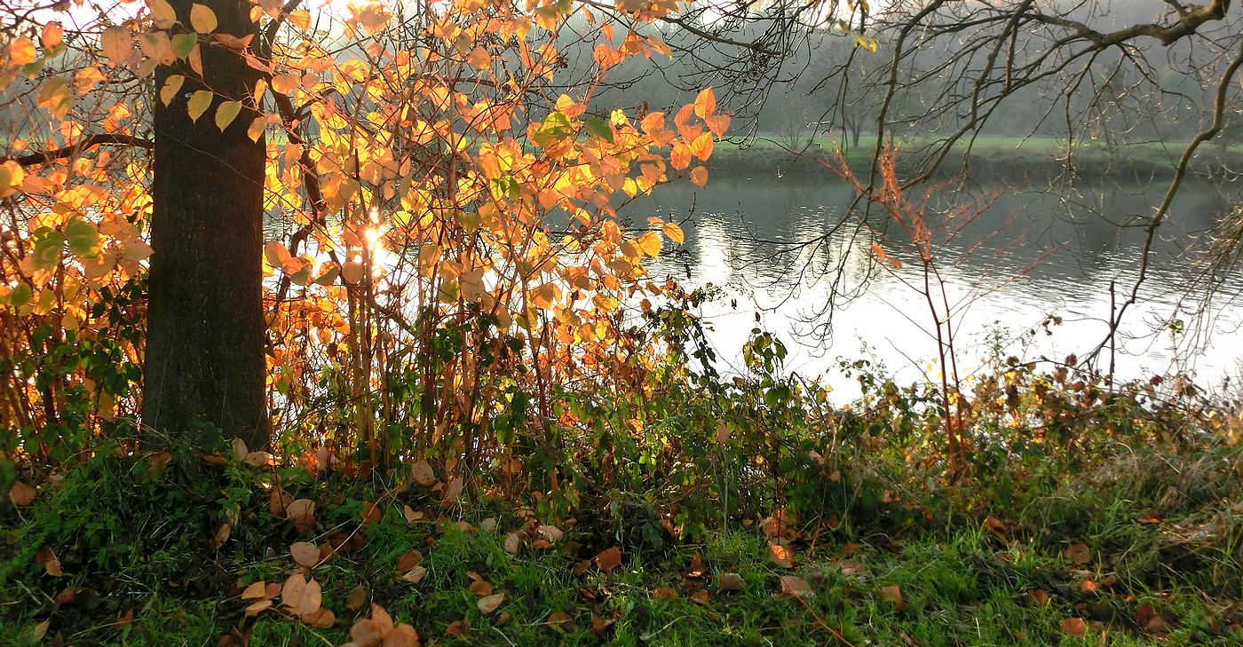 Herbst am Fluss