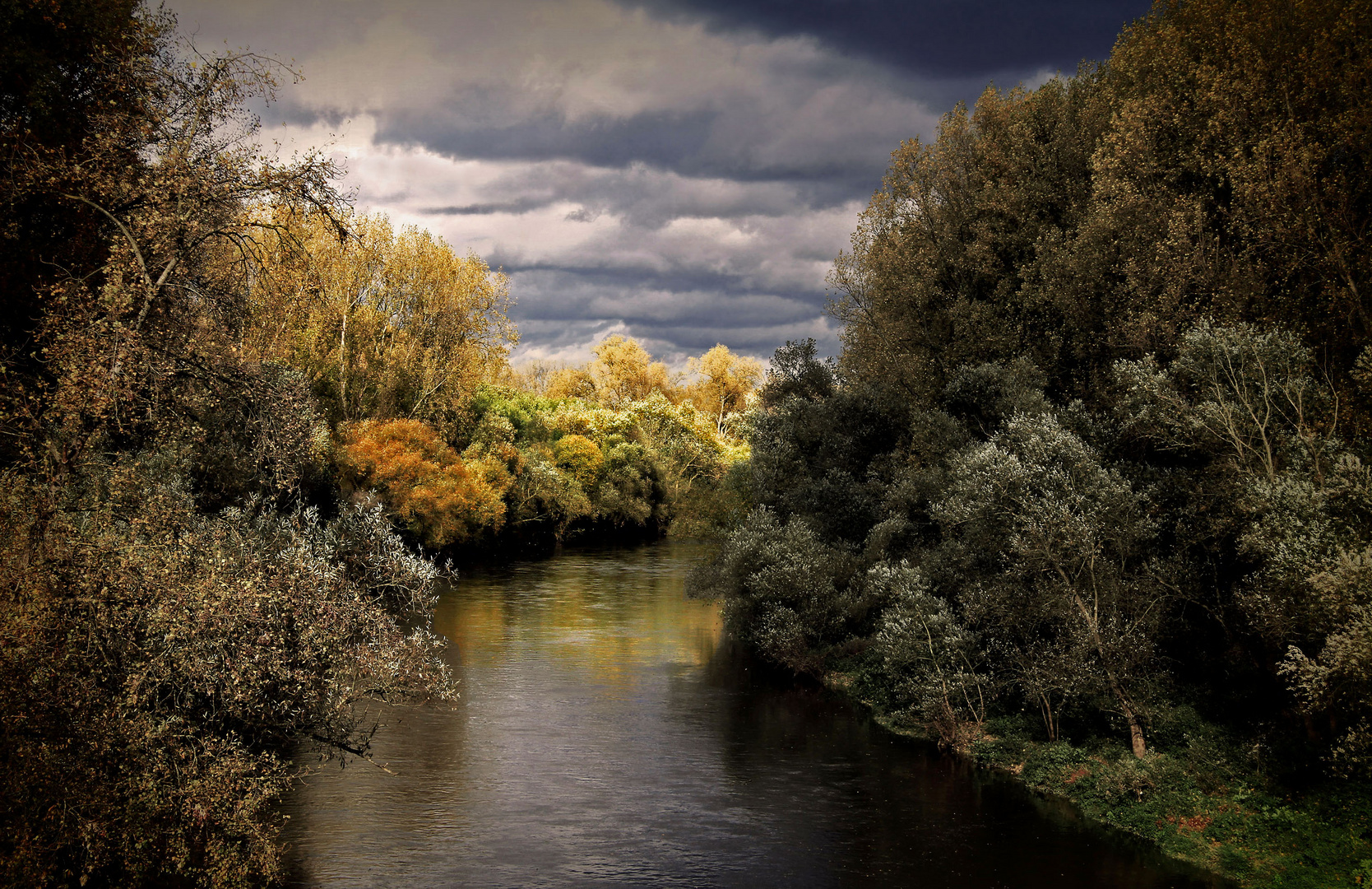 Herbst am Fluß