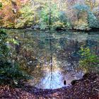 Herbst am Fluß II