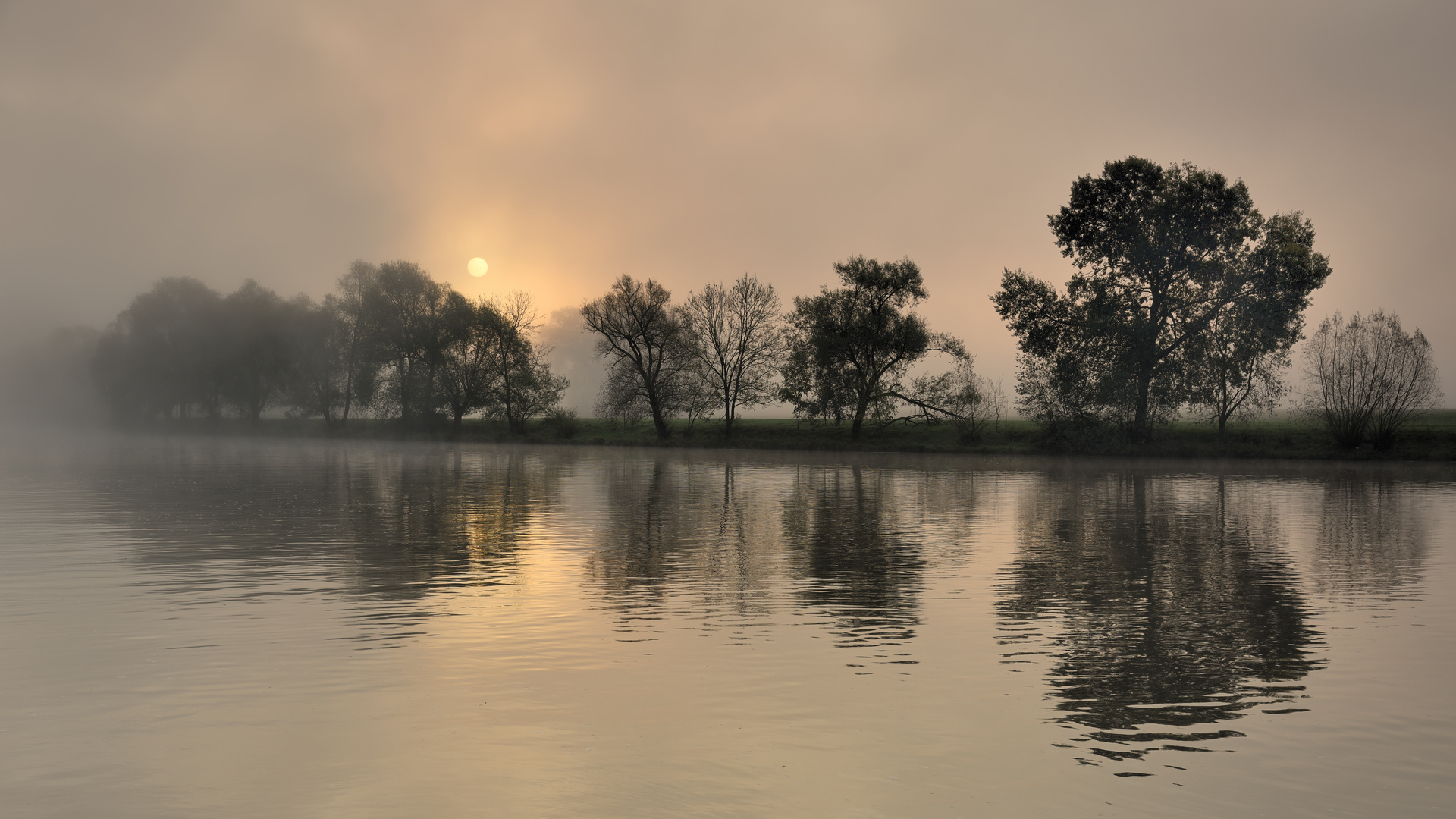 *Herbst am Fluss IV*