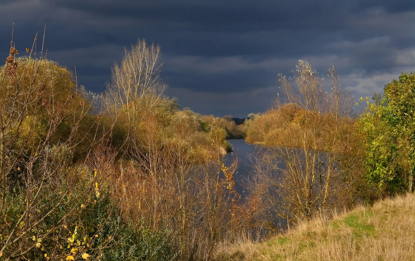 Herbst am Flußufer