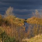 Herbst am Flußufer