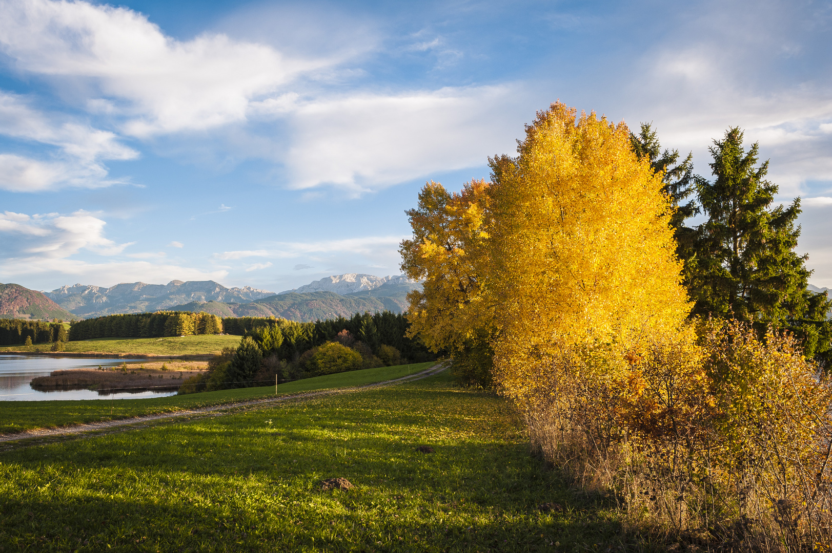 Herbst am Forggensee