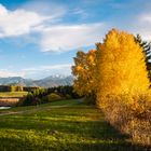 Herbst am Forggensee