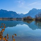 Herbst am Forggensee