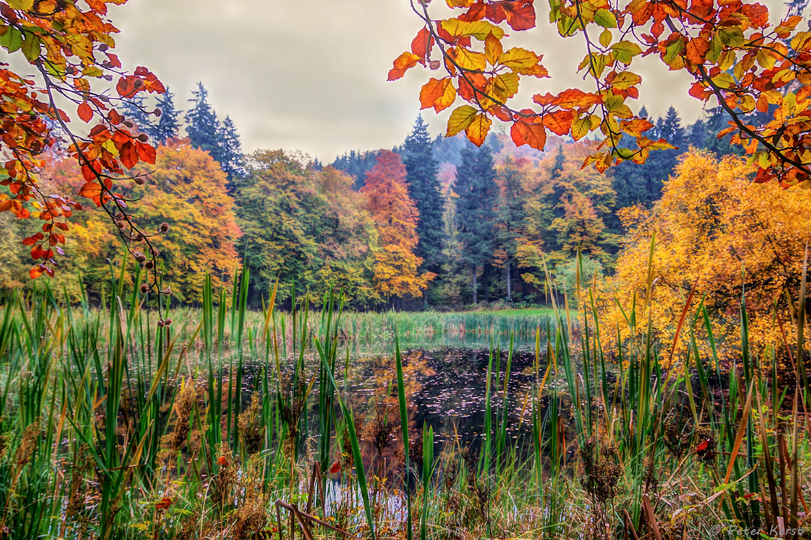 Herbst am Frau Holle Teich auf dem Hohen Meissner