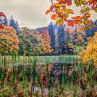 Herbst am Frau Holle Teich auf dem Hohen Meissner