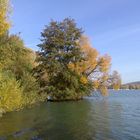 Herbst am Freizeitsee in Northeim