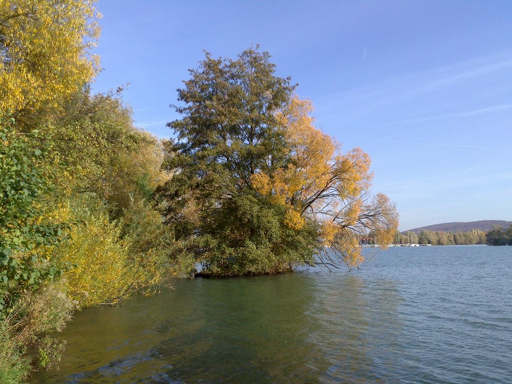 Herbst am Freizeitsee in Northeim