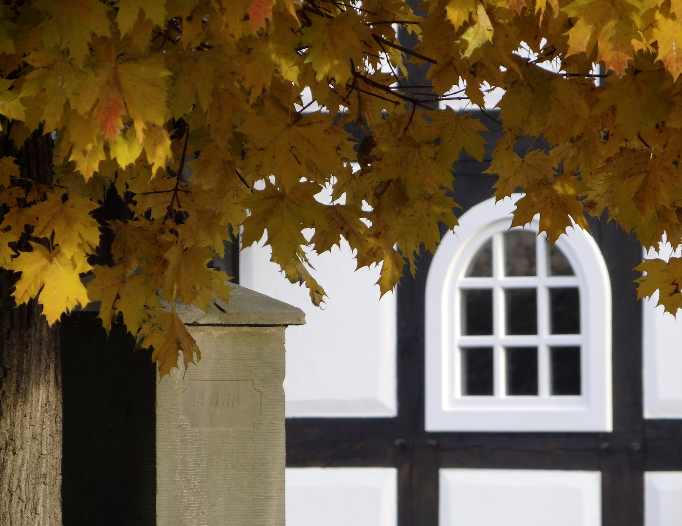 Herbst am Friedhof