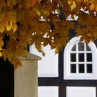 Herbst am Friedhof