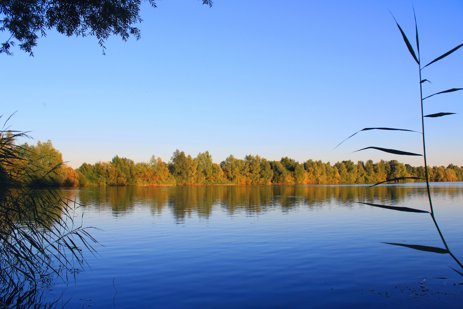 Herbst am Friller See