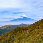 Herbst am Fuji-san