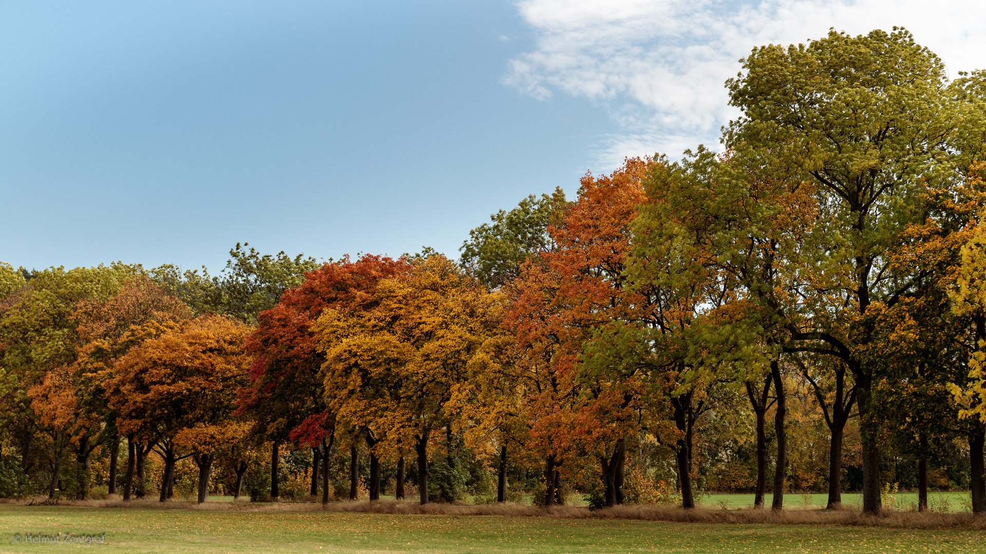 Herbst am Fuße des Ohrdrufer Goldberges