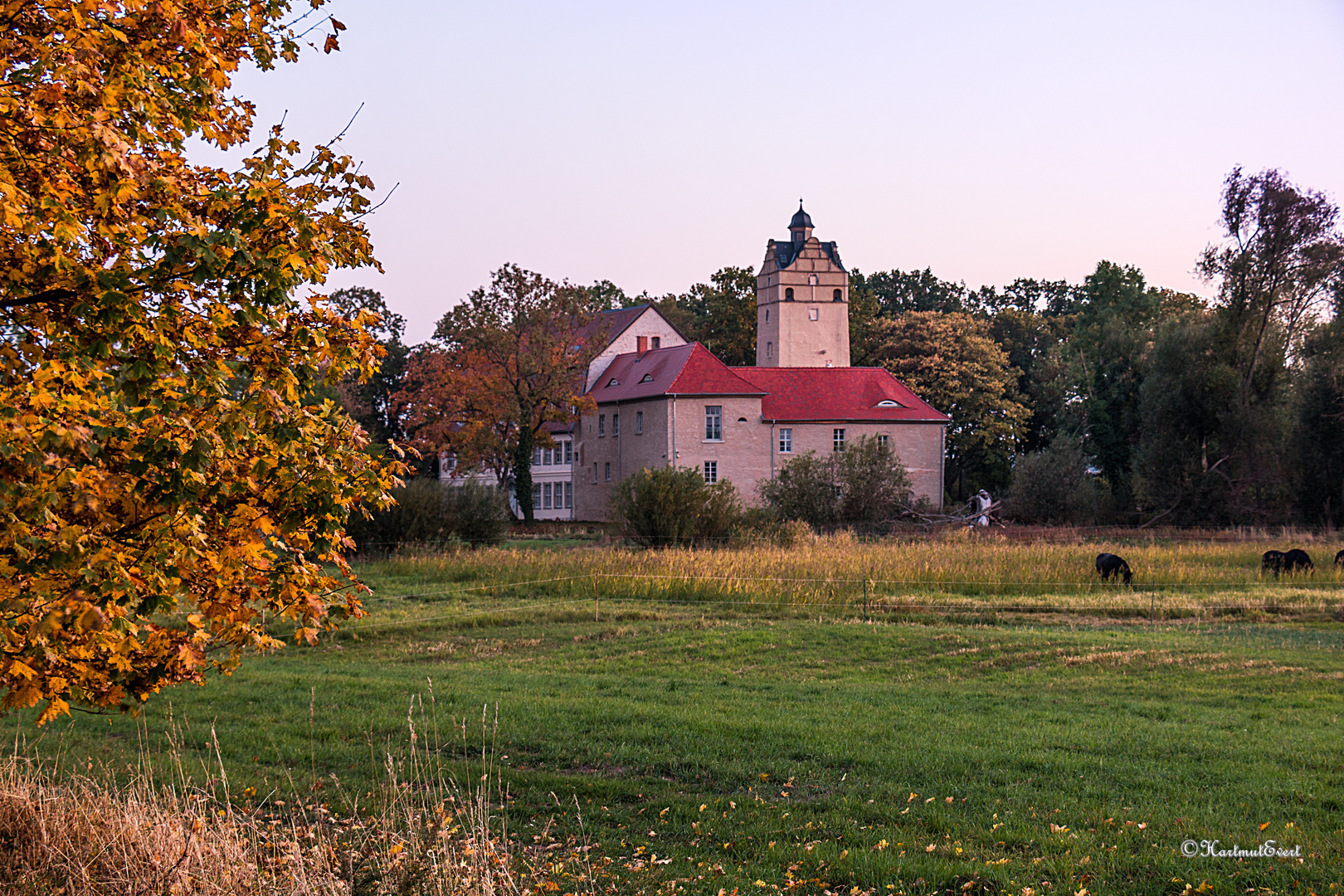 Herbst am Gaensefurther Schloss