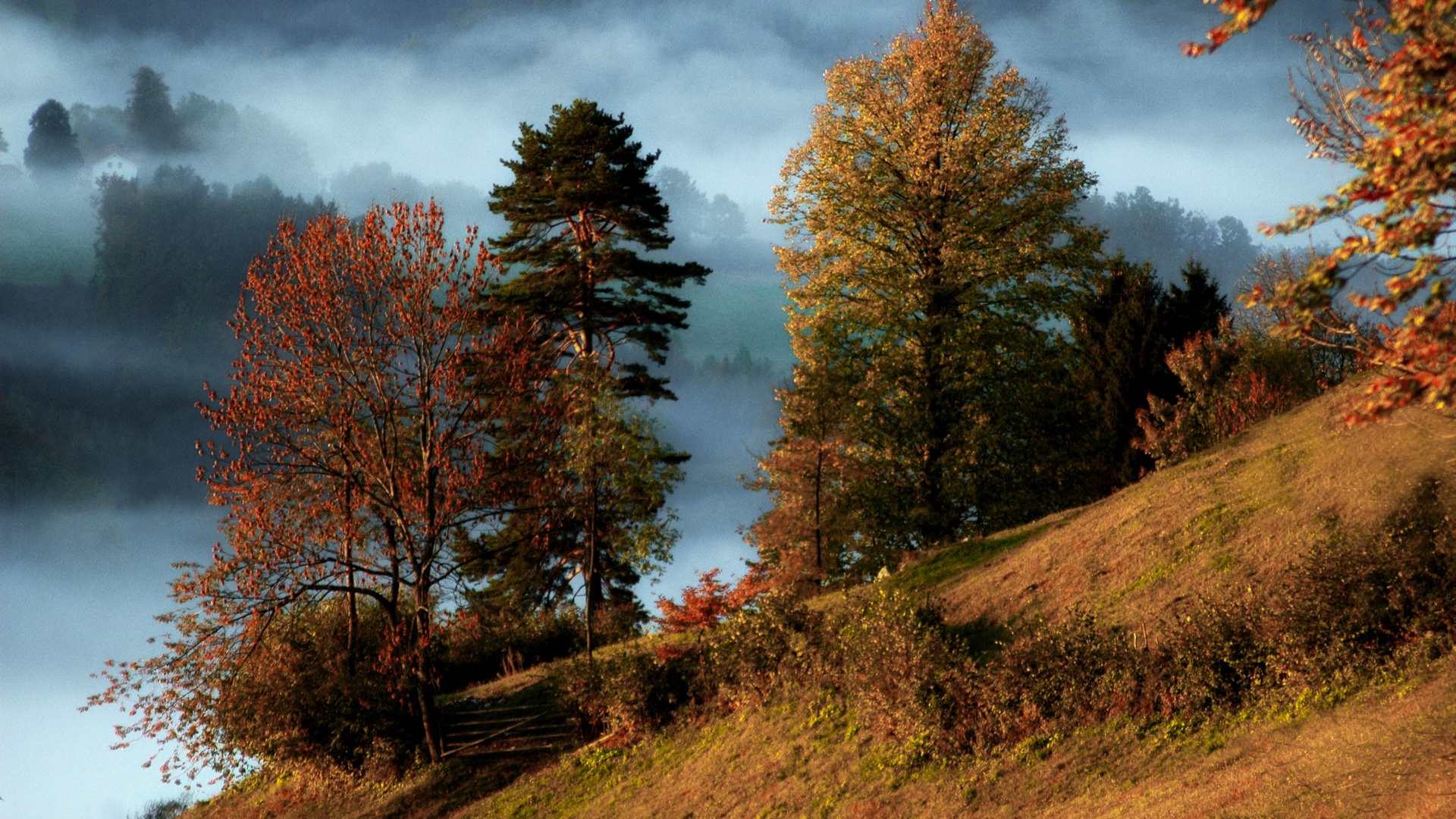 Herbst am Gaisbühel