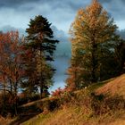 Herbst am Gaisbühel