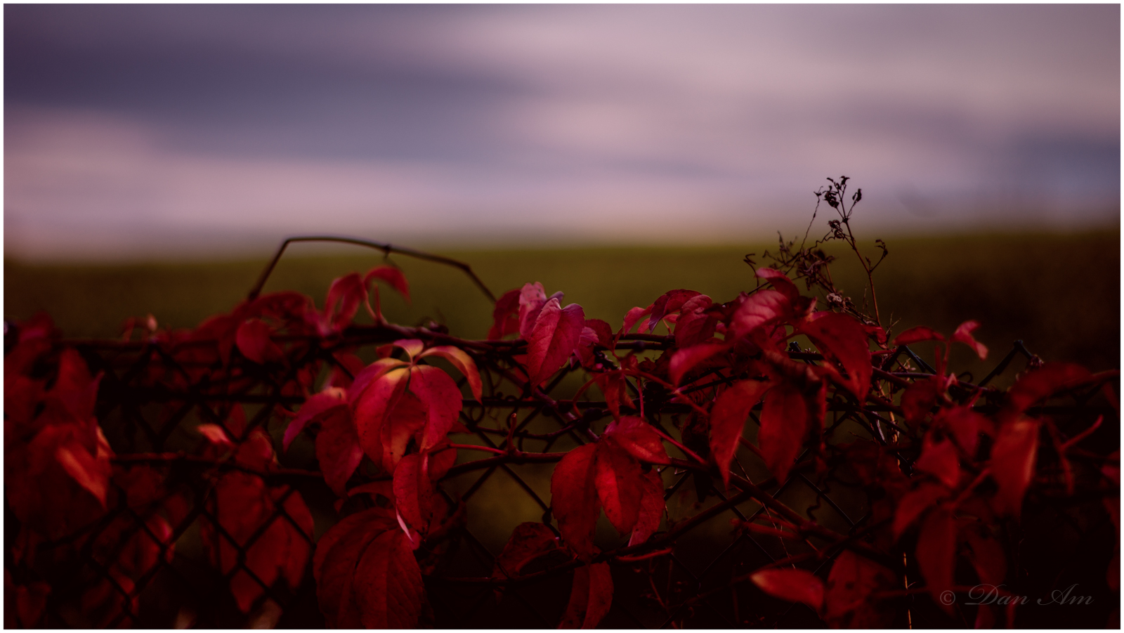 Herbst am Gartenzaun