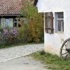 Herbst am Gartenzaun