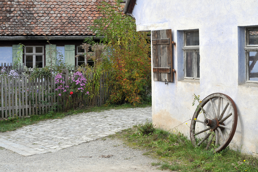 Herbst am Gartenzaun