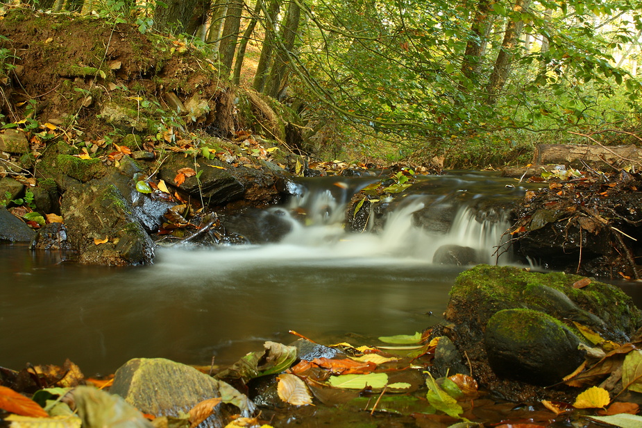 Herbst am Geiselbach