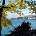 Herbst am Genfer (Montreux)