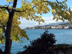 Herbst am Genfer (Montreux)