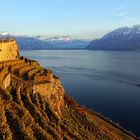 Herbst am Genfer See