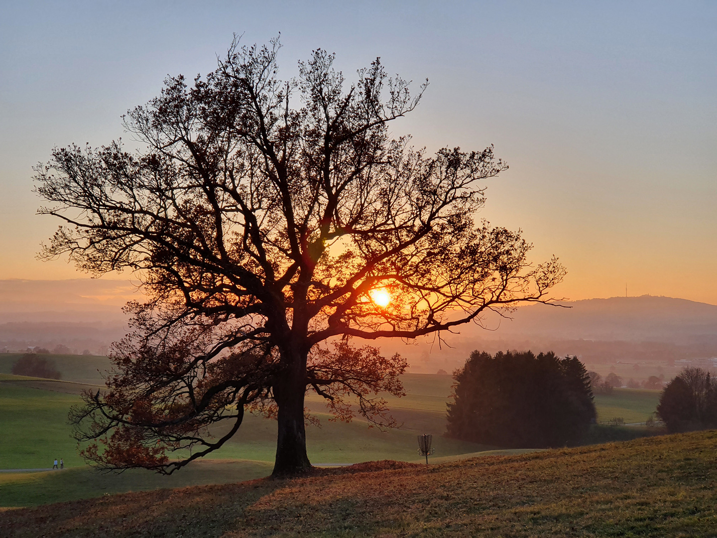 Herbst am Gögerl 