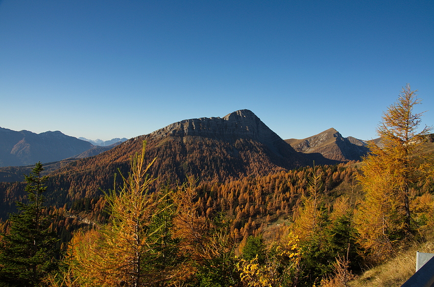 Herbst am Goldeck