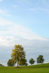 Herbst am Golfplatz