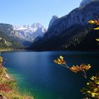 Herbst am Gosausee