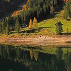 Herbst am Gosausee