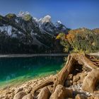 Herbst am Gosausee