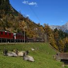 Herbst am Gotthard IV