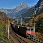 Herbst am Gotthard V