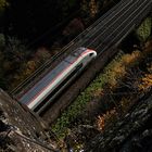 Herbst am Gotthard VI