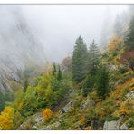 Herbst am Gotthardpass