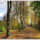 Herbst am Graalwall