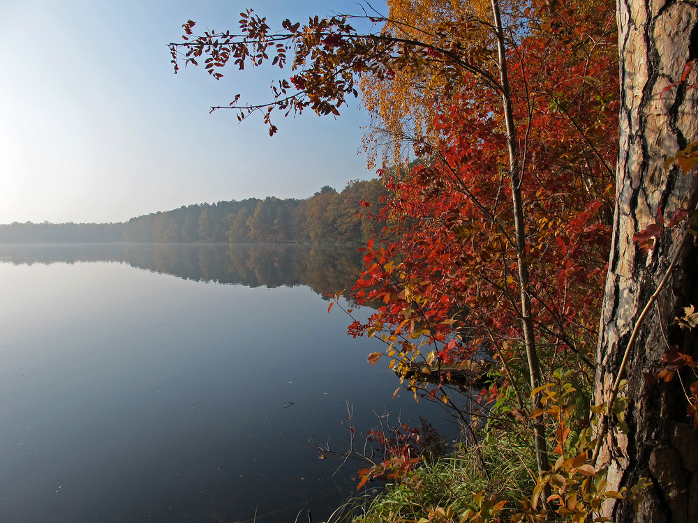 Herbst am Grabowsee