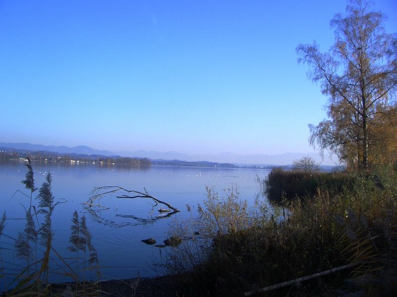 Herbst am Greifensee