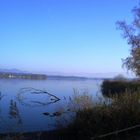 Herbst am Greifensee