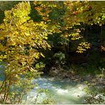 Herbst am Grimmingbach